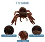 Toy | Animal Plush | Wild Onez | Tarantula