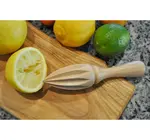 Citrus Juicer | Beechwood
