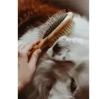 Dog Brush | Two-Sided Bamboo | Sisal Bristles/Wire Brush