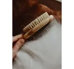 Dog Brush | Two-Sided Bamboo | Sisal Bristles/Wire Brush