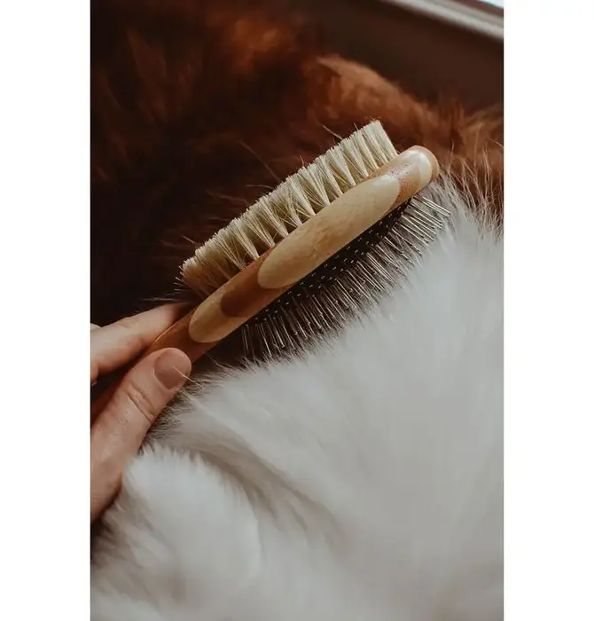 Dog Brush | Two-Sided Bamboo | Sisal Bristles/Wire Brush