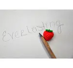 Pencil | Everlasting Alloy | Bamboo