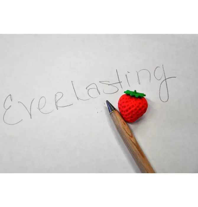 Pencil | Everlasting Alloy | Bamboo