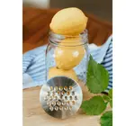 Grater Lid | Mason Jar