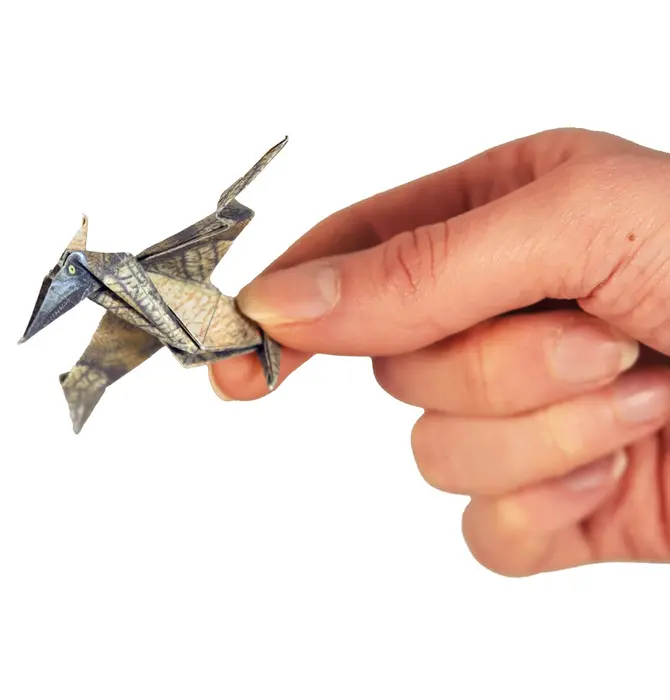 Kit | Origami | Paper Dinos