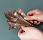 Kit | Origami Paper Dinos | Fold Your Own
