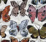 Blanket | Recycled Cotton/Acrylic | Butterfly & Moth Tapestry