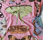 Blanket | Recycled Cotton/Acrylic | Moth Still Life | Pink