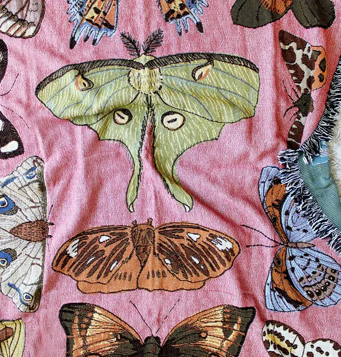 Blanket | Recycled Cotton/Acrylic | Moth Still Life | Pink