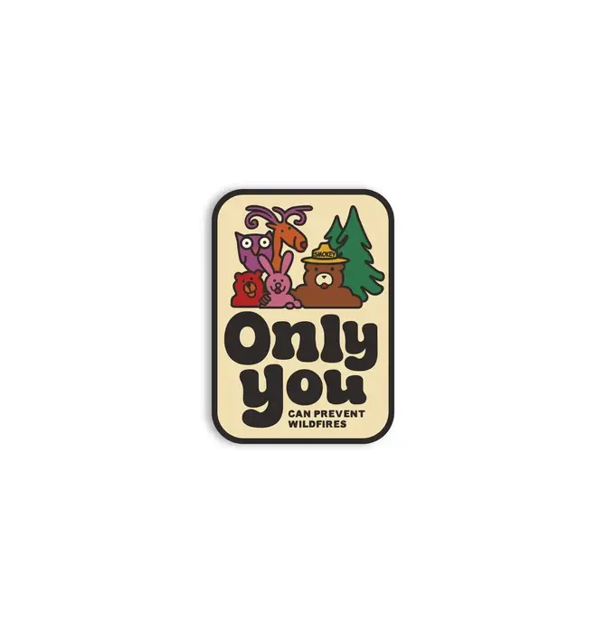 Sticker | Vinyl | Only You Can Prevent Wildfires | Smokey Bear