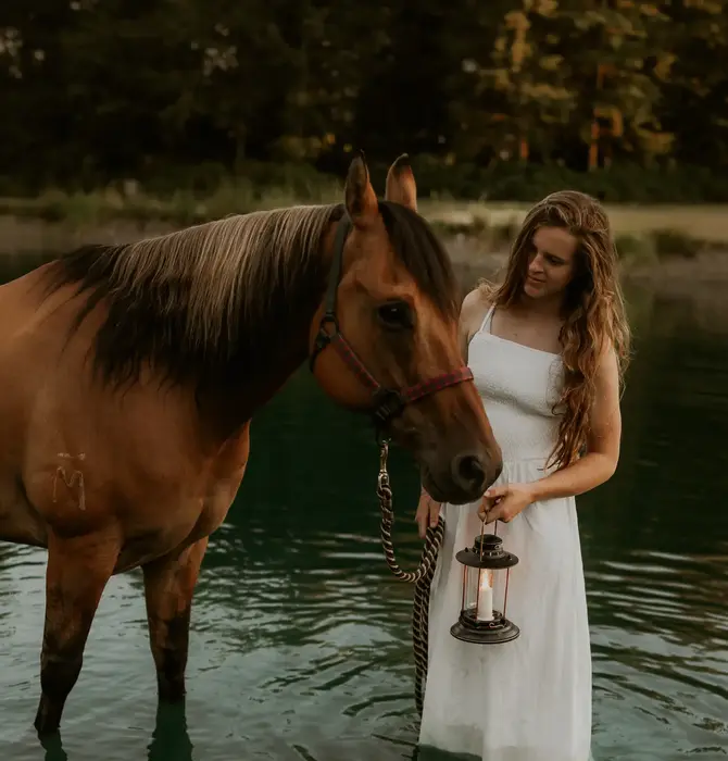 Lantern | Hurricane | Candle Holder