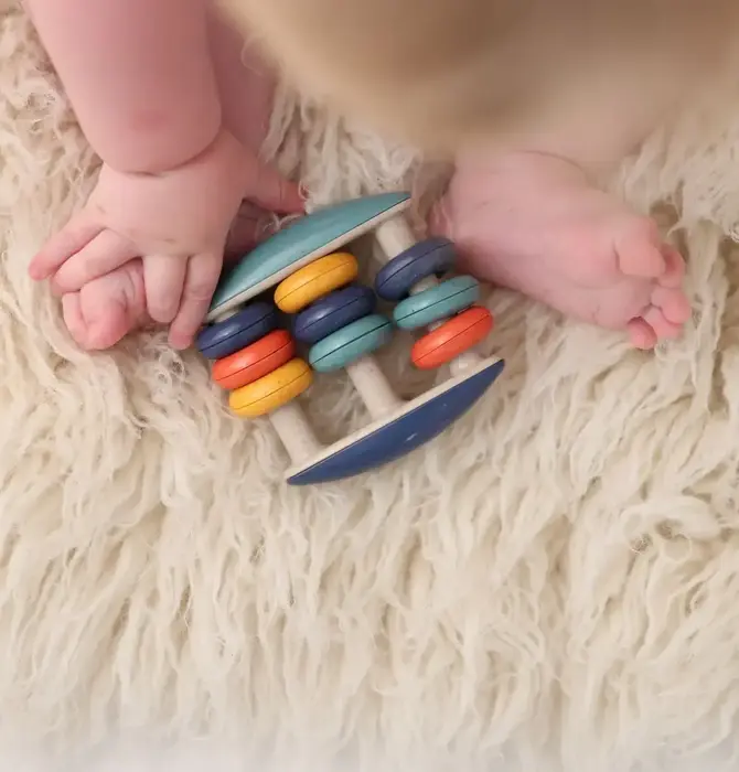 Toy | Rattle | Abacus | Tolo