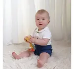 Toy | Bird | Crazy Eyed