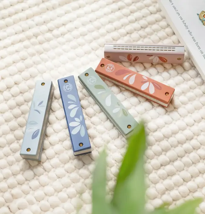 Toy | Harmonica | Assorted