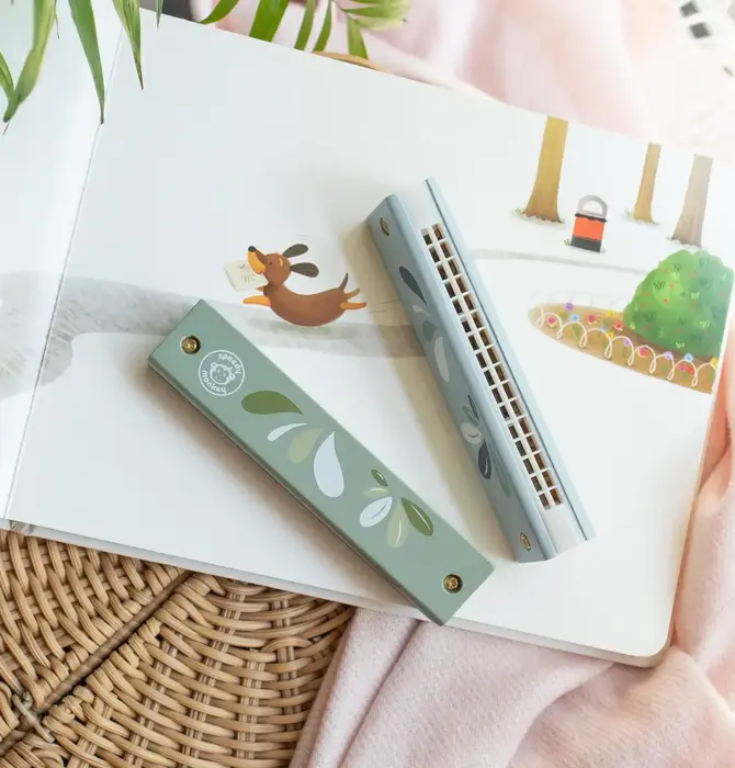 Toy | Harmonica | Assorted
