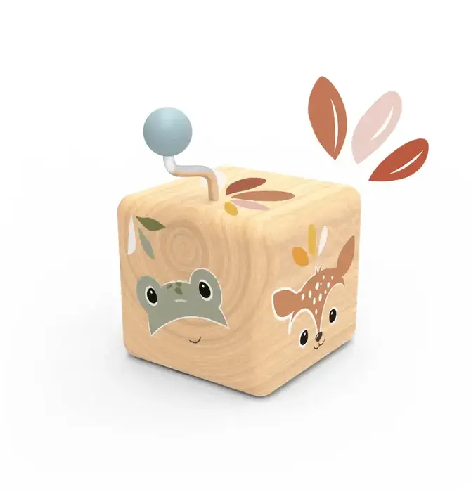 Toy | Music Box Wooden | Animal Faces