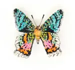 Brooch Pin | Madagascar Sunset Moth