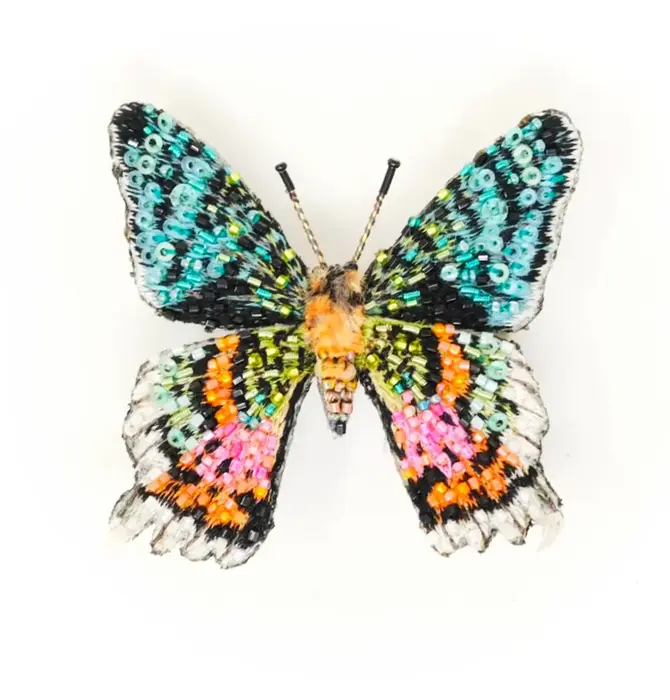 Brooch Pin | Madagascar Sunset Moth