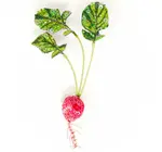 Brooch Pin | Red Radish