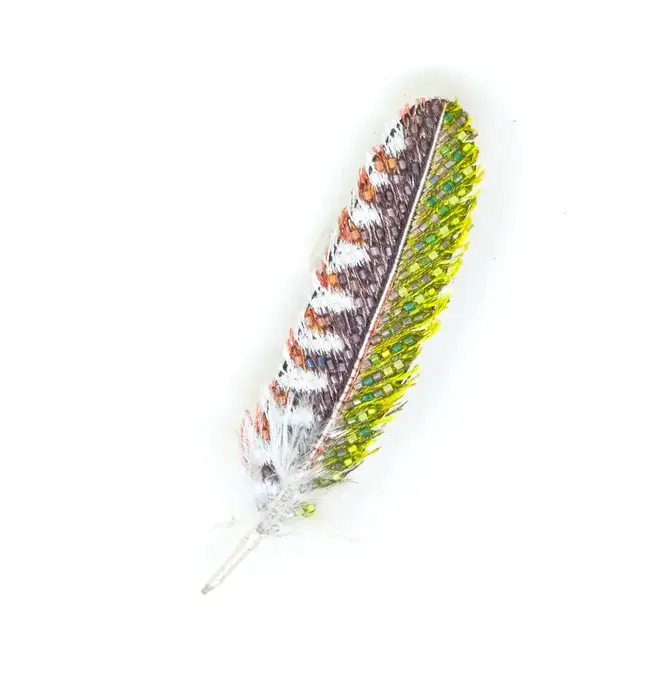 Brooch Pin | Woodpecker Feather