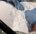 Notebook | Expedition Waterproof | 3-Pack