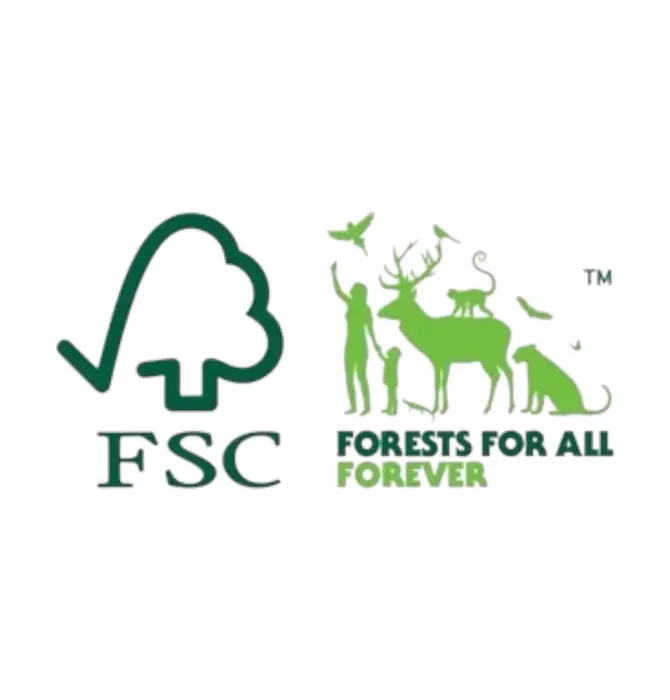 Wooden Water Game | Hungry Monster | Assorted