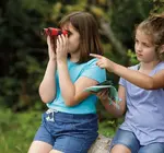 Kit | Little Birder | Beetle & Bee Garden