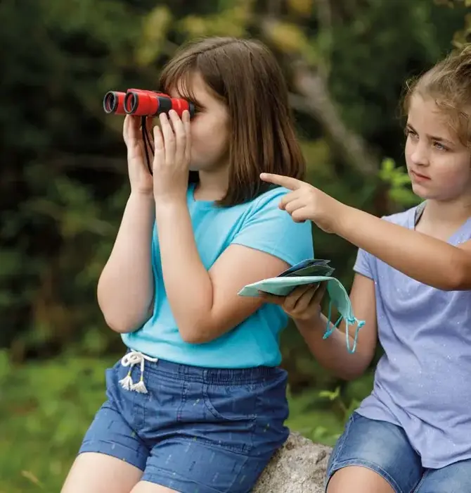 Kit | Little Birder | Beetle & Bee Garden