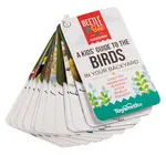 Kit | Little Birder | Beetle & Bee Garden