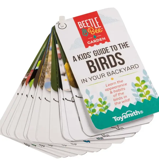 Kit | Little Birder | Beetle & Bee Garden