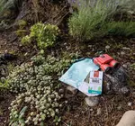 Kit | Little Birder | Beetle & Bee Garden