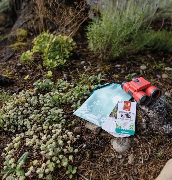 Kit | Little Birder | Beetle & Bee Garden