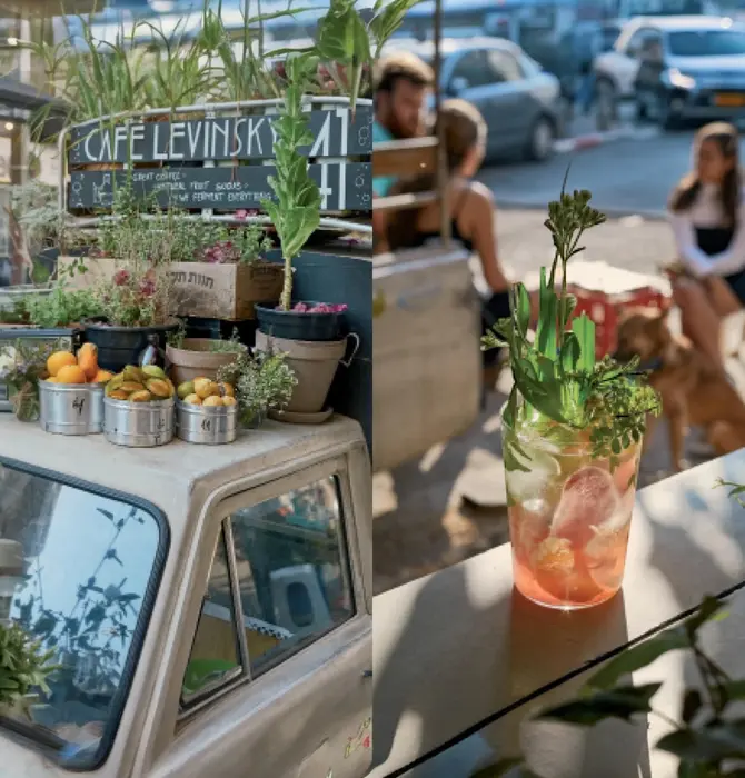 Book | Gazoz: The Art of Making Magical, Seasonal Sparkling Drinks