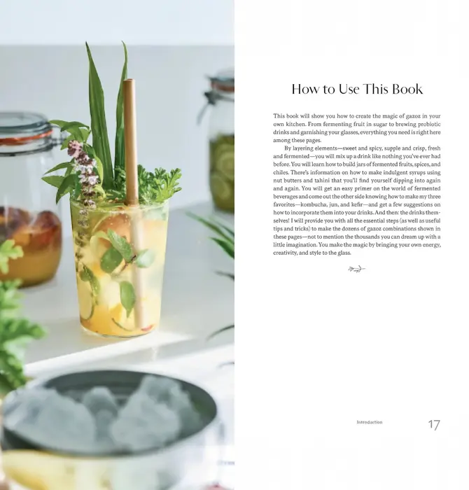 Book | Gazoz: The Art of Making Magical, Seasonal Sparkling Drinks