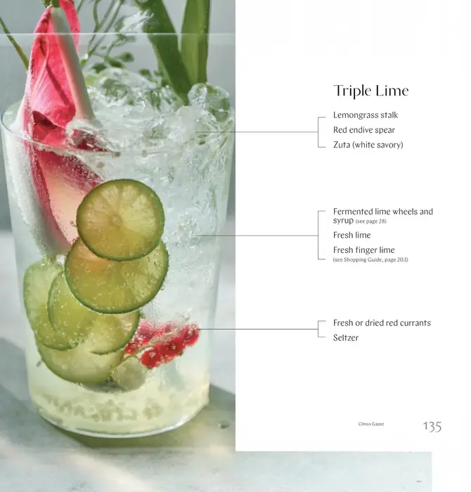 Book | Gazoz: The Art of Making Magical, Seasonal Sparkling Drinks