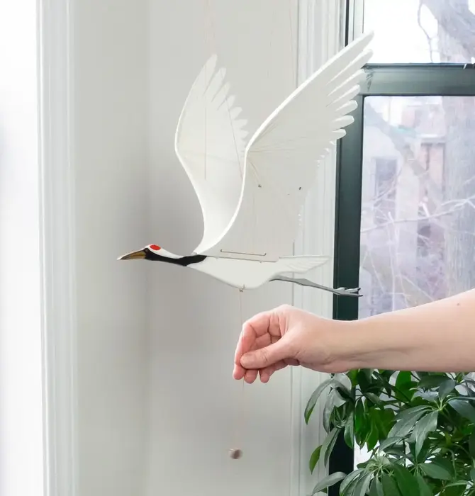 Mobile | Flying | Crane