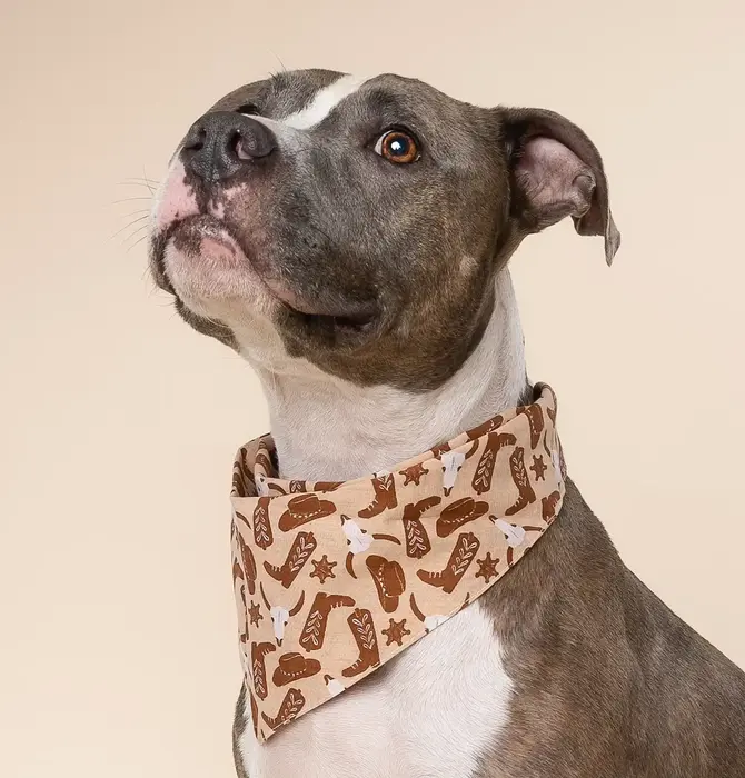 Pet Bandana | Large | Bronco