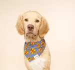 Pet Bandana | Large | Dunk Basketball