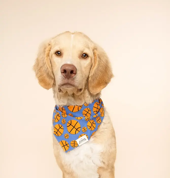 Pet Bandana | Large | Dunk Basketball