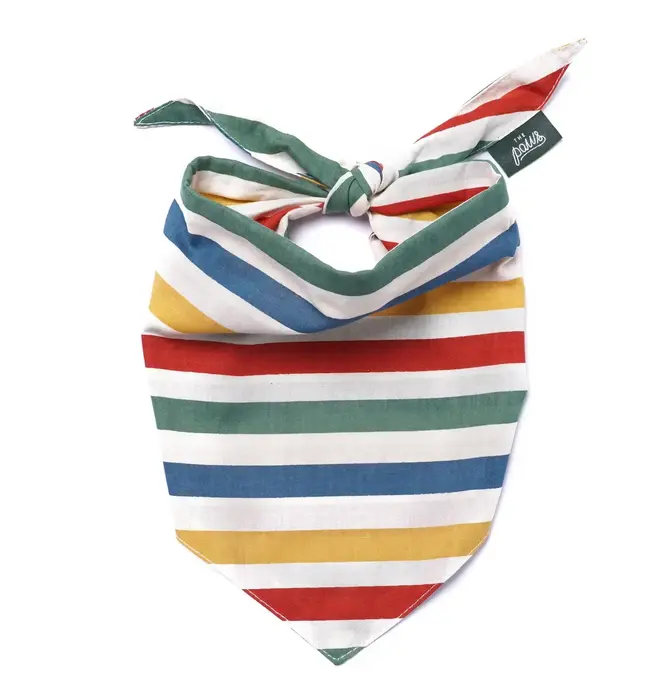 Pet Bandana | Large | Frontier