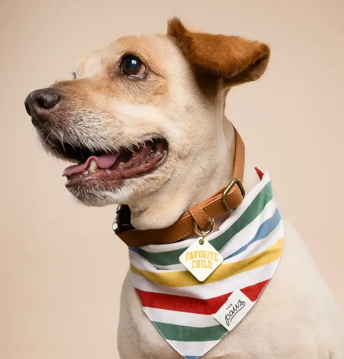 Pet Bandana | Large | Frontier