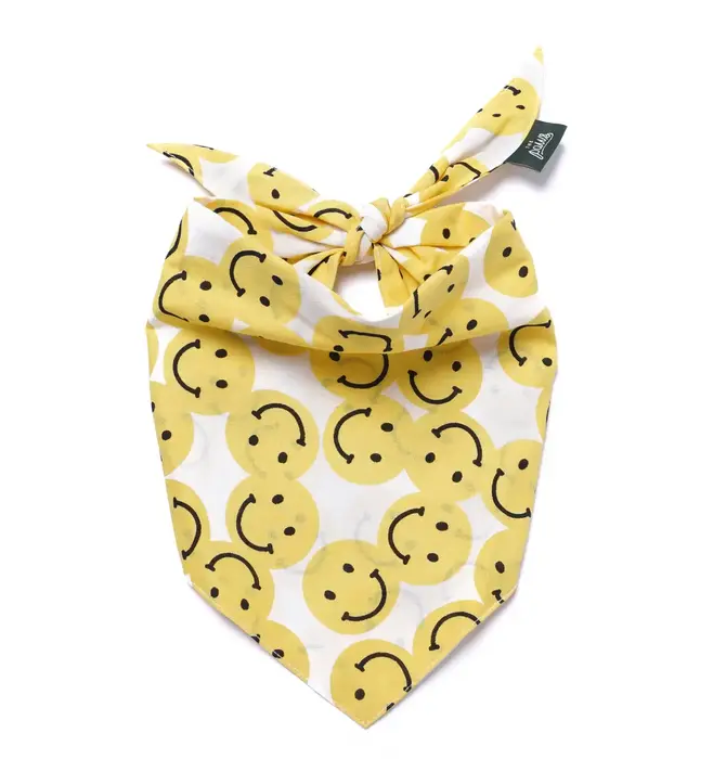 Pet Bandana | Large | Smile