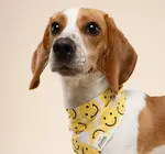 Pet Bandana | Large | Smile