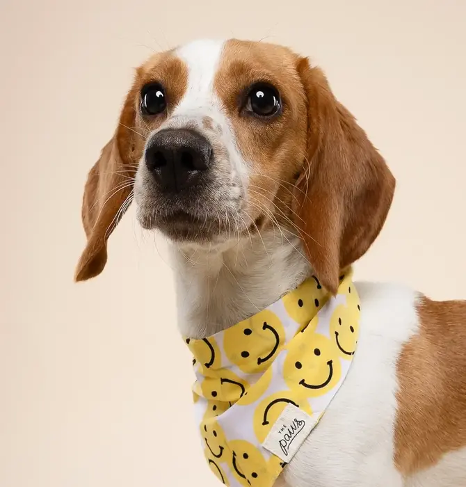 Pet Bandana | Large | Smile