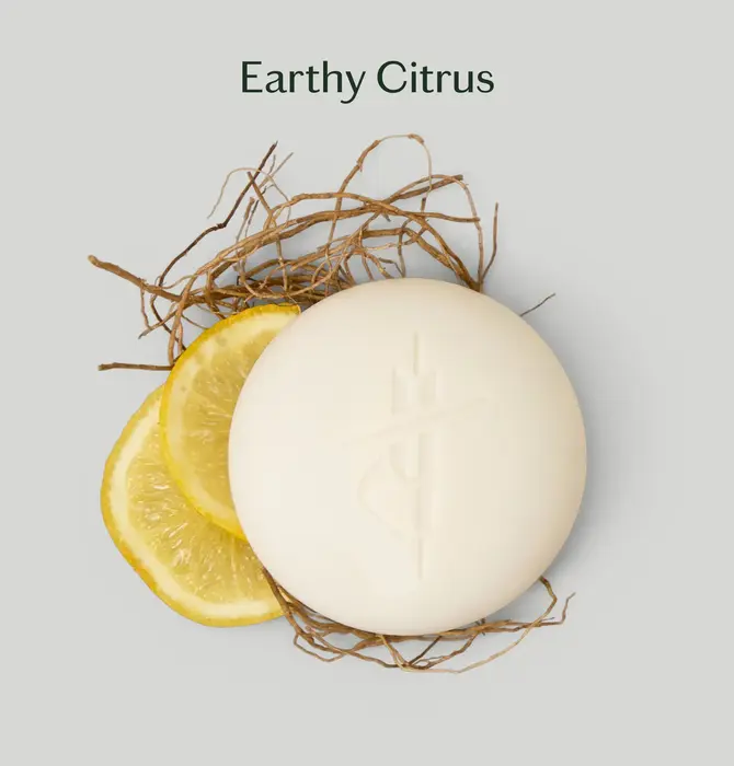 Lotion Bar | Mini | 3 Scents