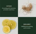 Lotion Bar | Mini | 3 Scents