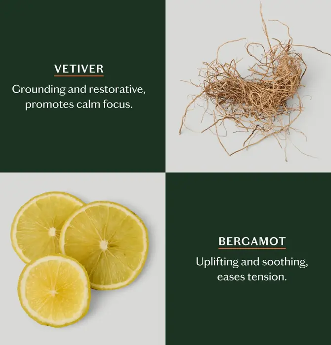 Lotion Bar | Mini | 3 Scents