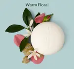 Lotion Bar | Mini | 3 Scents