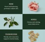 Lotion Bar | Mini | 3 Scents