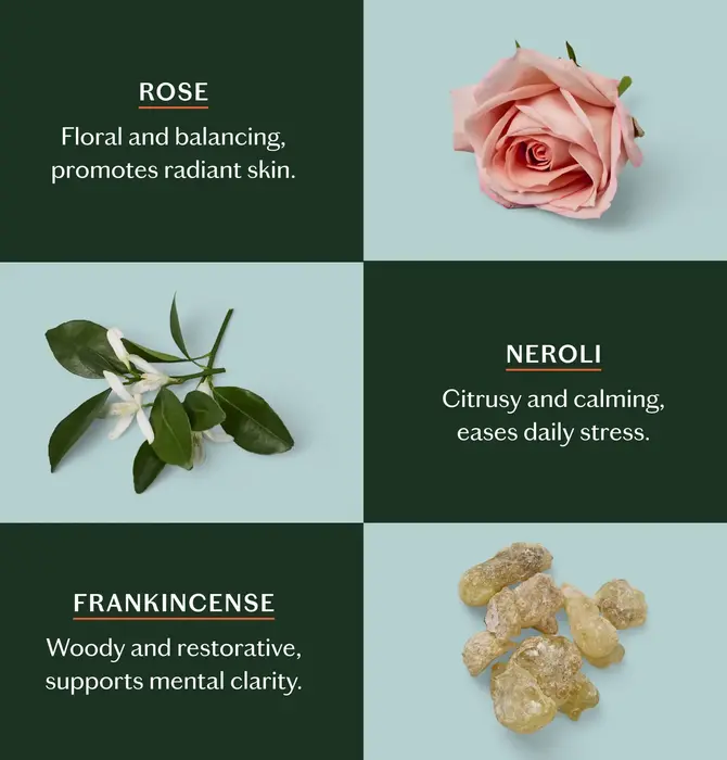 Lotion Bar | Mini | 3 Scents